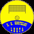 logo volejbal.gif