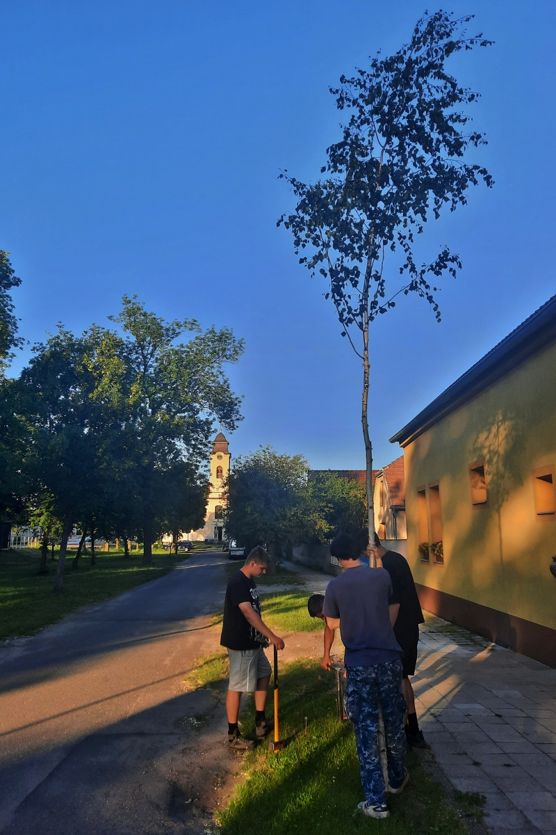 Zatloukání májek