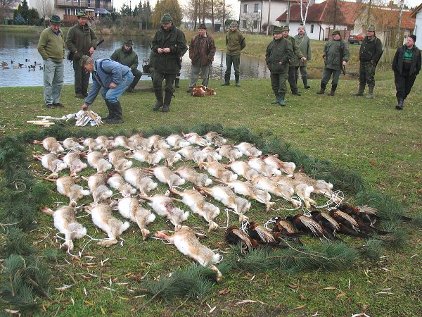 Myslivecký hon 6.12.2008