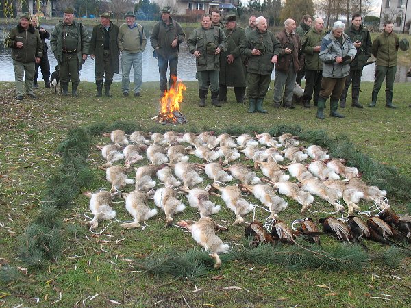 Myslivecký hon 6.12.2008