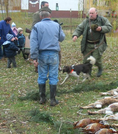 Myslivecký hon 6.12.2008