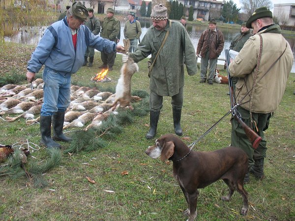 Myslivecký hon 6.12.2008