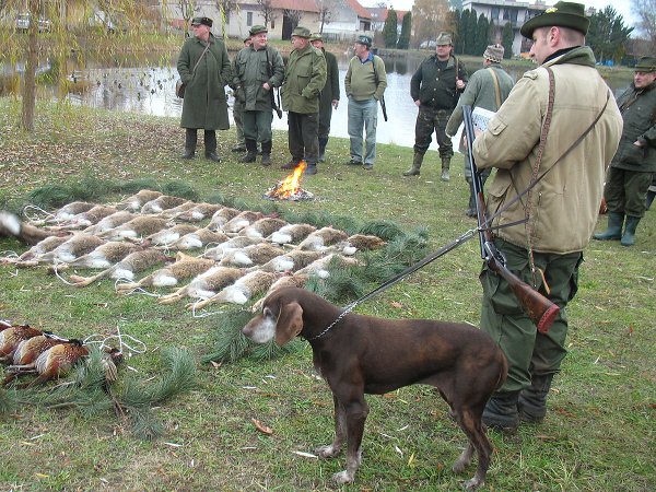 Myslivecký hon 6.12.2008