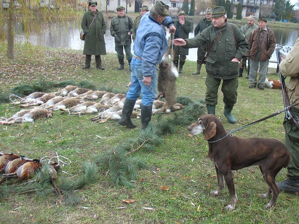 Myslivecký hon 6.12.2008