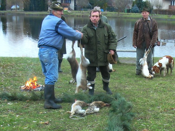 Myslivecký hon 6.12.2008