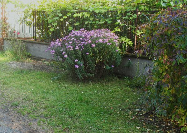 Okna a předzahrádky 2008