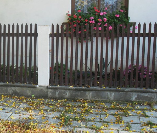 Okna a předzahrádky 2008